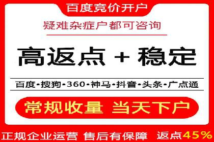 竞价推广代运营：成功案例解析
